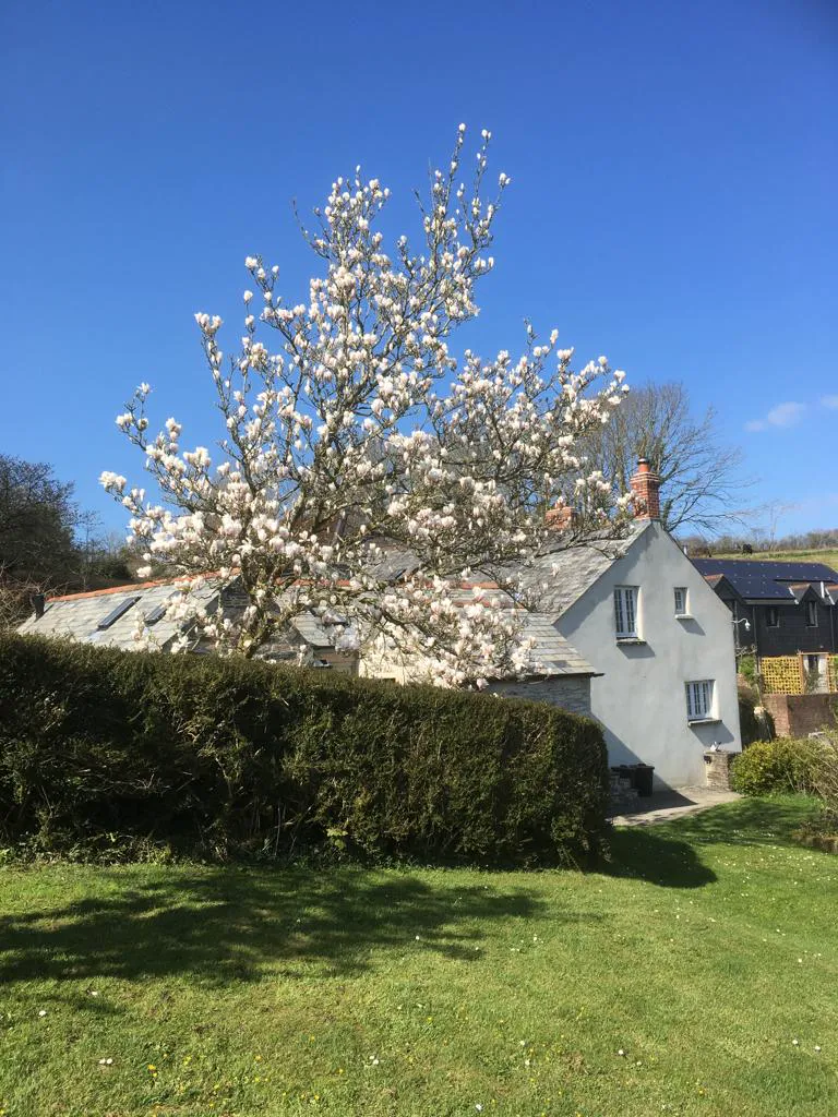 Hole Farm